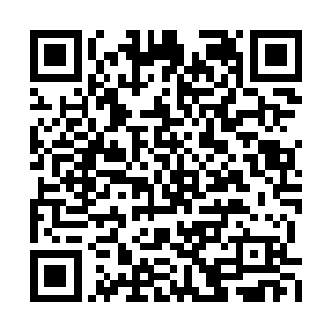 这三天以来已经和萧晨的身体容在一起的凤血藤二维码生成