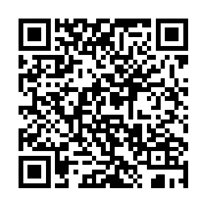 这三尸化身也是利用一种特殊的先天石材所炼化而成二维码生成