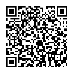 这三座石像是云梦之境的三位始祖所遗留下来的所有血气化作而成二维码生成