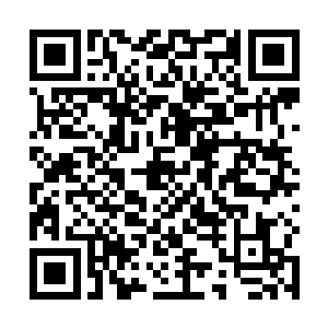 这上面的功法好像比之前你给我的功法都要高级了不少二维码生成