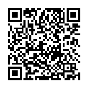 这下子有戏看了……秦方这一下算是遇到真正的对手了二维码生成