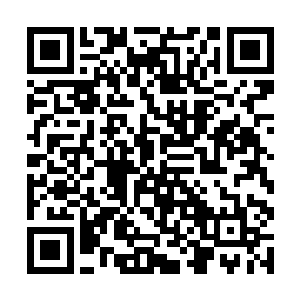 这不就代表着他已经预料到了这会儿会发生的事情么二维码生成