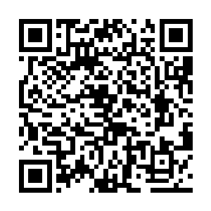 这不就是之前在拍卖场与箫公子大肆捣乱的那个……二维码生成