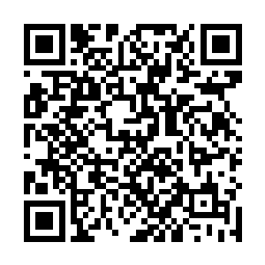 这不就是那天晚上在公园里追着自己不放的中年大叔吗二维码生成