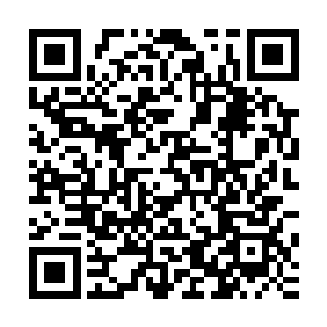 这不是先前跟咱们一起进入空间裂缝的那名结丹后期的病夫吗二维码生成