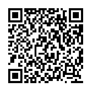 这不是因为他提前便知道老者就在门后面的缘故二维码生成