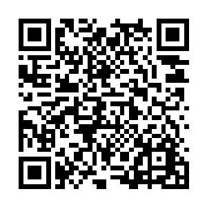 这不是明摆着知道前面有个大坑还看着他往下跳吗二维码生成