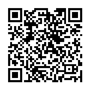 这不是那种穿几身豹纹衣就号称什么野性的烂俗之作二维码生成