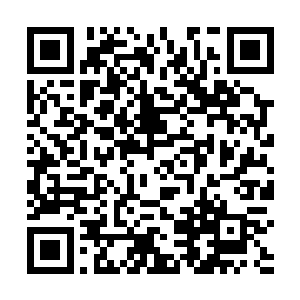 这不正是他萧然一直以来想要追求的人生巅峰的境界么二维码生成