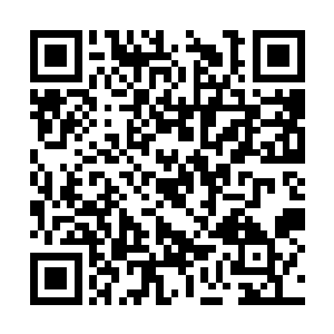 这不死草对于别的修士也许是一个十分珍贵的草药二维码生成