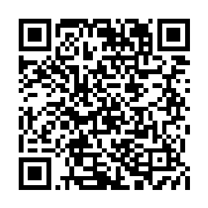 这不禁让林绯虞和尤月等人的心一下子提了起来二维码生成