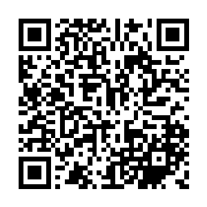 这不许外孙小姐进门是当家老夫人亲自下的命令二维码生成