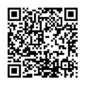 这不钱还好好的嘛……等会儿大家若是有遇到糖葫芦了二维码生成