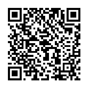 这世上所有人知道的消息都是定王府愿意放出来给人知道的二维码生成