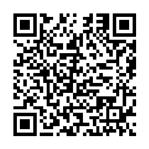 这世界上最爽的事情便是在2000年把所有的钱买上苹果的股票二维码生成