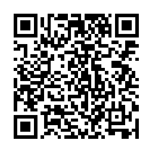 这世界还有两个拥有造物主权限的存在可以让我选择二维码生成