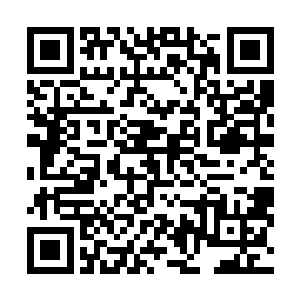 这东方姑娘现在既不是定王府的亲眷也不是定王府的心腹二维码生成