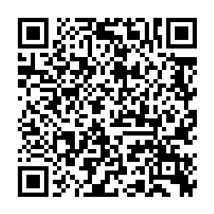 这东西只要是能传下去那老贝家的子子孙孙们都至少是衣食无忧了二维码生成