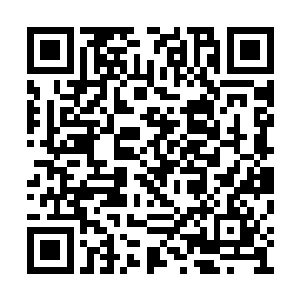 这东西可是当年毁灭仙兽一族所有高手的东西啊二维码生成