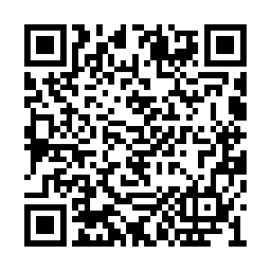 这东西既然能让楚旬没有任何反抗之力就被吸走二维码生成