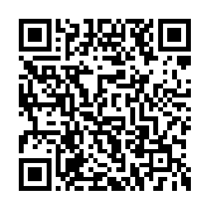 这东西贝海太满意了准备留着当老贝家的传家宝二维码生成