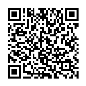 这两个主演都很有名气嘛――这部片就由我亲自去看二维码生成