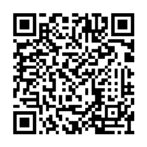 这两个乡巴佬竟然没有贵宾请帖也敢走贵宾通道二维码生成