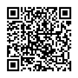 这两个势力的其他强者和一些头脑发热参与到战斗的人员二维码生成