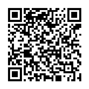 这两个勾肩搭背还是离开众人去了远处单独沟通去了二维码生成