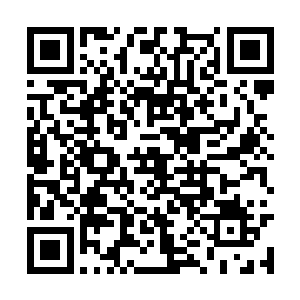 这两个女人虽然表面上一个心机深沉一个修为高超二维码生成