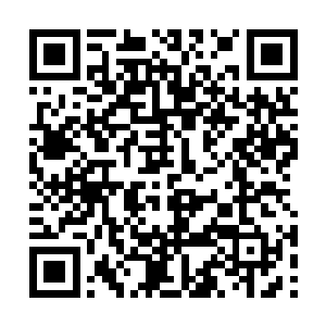这两个小孩今天看这个样子是将自己的给缠上了啊二维码生成