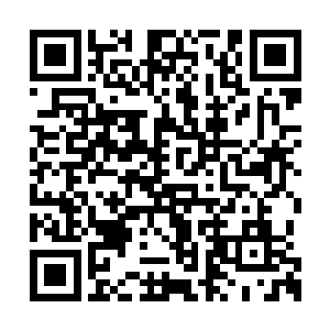 这两个已经把张铁当做神的小姑娘哪怕跪在地上二维码生成