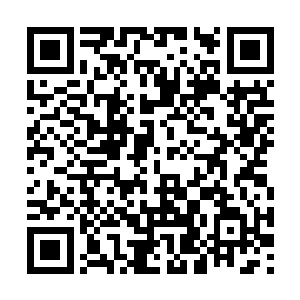 这两个蛇女是他在地底世界开拓势力的主要负责人二维码生成