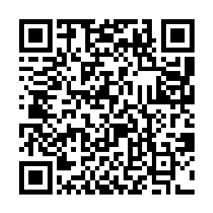这两人身手应该算得上是他们这一群人当中最好的了二维码生成