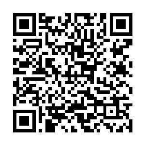 这两位肯定是被先前刹那的客星夺主星象所吸引了二维码生成