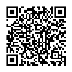 这两位跺跺脚就能让整块大陆发生地震的超级强者二维码生成