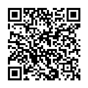 这两兄弟就跑去了赌城拉斯维加斯放纵了些日子二维码生成