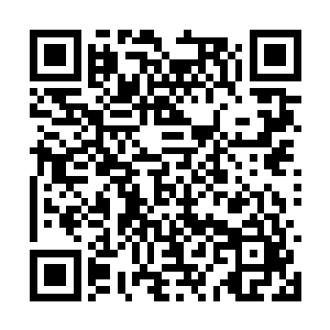 这两只越影紫电喷云兽也相继被苏落和郁今歌拍晕二维码生成
