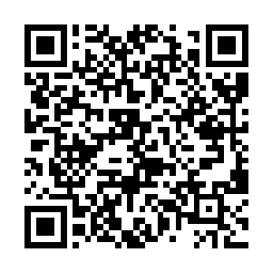 这两姐妹为何会是如此一副恨不得狂揍他一顿的表情二维码生成