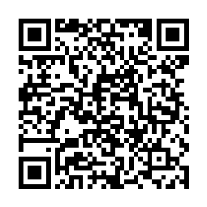 这两家屹立在冰极州之巅的顶尖势力都没有选择退却二维码生成