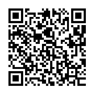 这两年多的痛苦挣扎也让她将那一点点微不足道的感情全部抹杀二维码生成