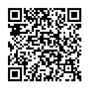 这两座至尊战堡就像是被打断了腿的河马和犀牛二维码生成