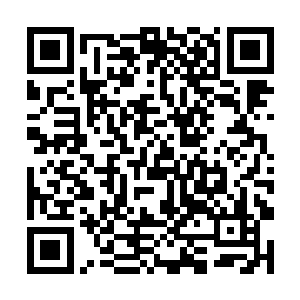 这两日他便会打探水蓝魔法学院历练的过程以及路线二维码生成