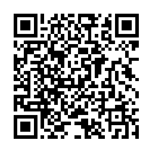 这两样东西是星帝山当年号称帝宝二珠的宝贵存在二维码生成