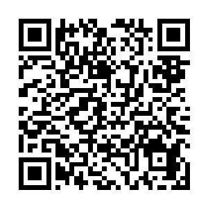 这两段走廊和大厅中的咬人书数目几乎呈几何级数暴增二维码生成