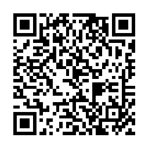 这个一直不说话的老鼠从吧台的大洞中精准地甩出一把飞刀二维码生成