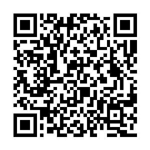 这个七八岁的小丫头却无视了自己血海幡的威力二维码生成