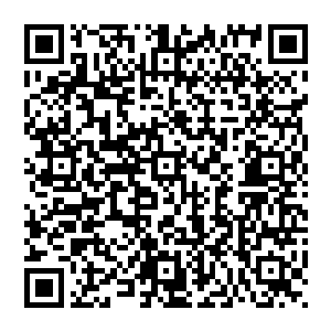 这个下属有次下班回来在卧室发现了在自家床上视察自家妻子的小丞相……这个下属也是个奇葩的二维码生成