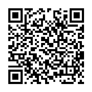 这个世界上有永远不会被攻克和杀死的电脑病毒么二维码生成