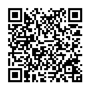 这个世界上每天都有着不公平和黑暗的事情在发生二维码生成